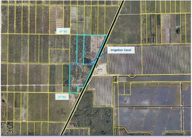 13.34 +/- acre older/dead grove, ripe for transitioning to a new - photo 4