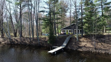 Nestled among mature pines and hardwoods, this adorable cabin - photo 5