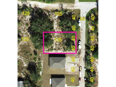 Build big just two blocks from the river-this oversized double - photo 7