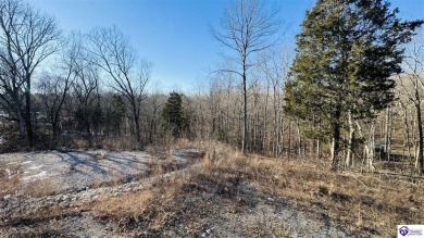 Rough River Lake Lot For Sale in West View Kentucky