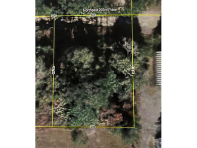 Lake Ocklawaha Lot For Sale in Fort Mccoy Florida