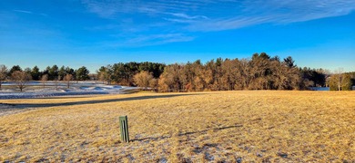 Lake Carroll Lot For Sale in Lake Carroll Illinois