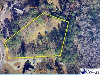 Lake Wallace Lot For Sale in Bennetsville South Carolina