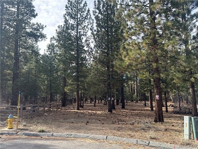 Big Bear Lake Lot For Sale in Big Bear City California