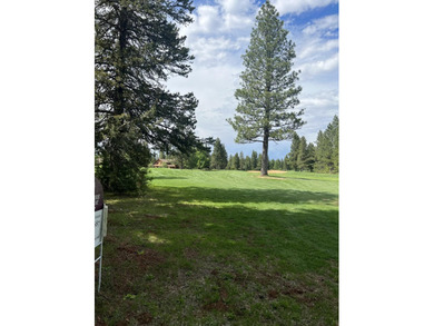 This lot has it all. Recently cleaned up, level, views of Dyer - photo 6