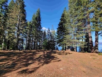 Build your dream home on this exceptional .80-acre lakefront - photo 7