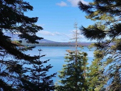 Build your dream home on this exceptional .80-acre lakefront - photo 9