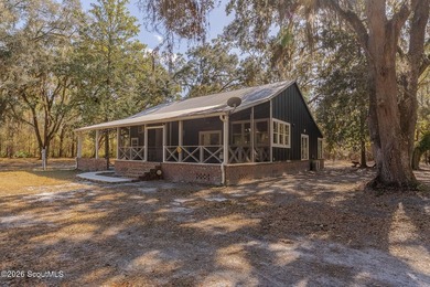 Lake Home For Sale in Saint George, Georgia