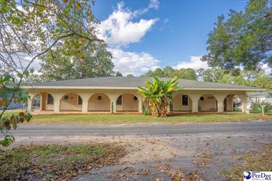 Lake Robinson - Chesterfield / Darlington Home For Sale in Hartsville South Carolina