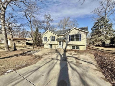 Lake Home For Sale in Davis, Illinois