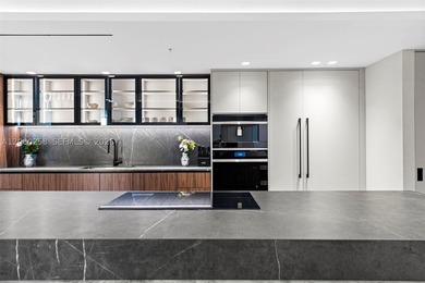 Discover luxury living in this fully furnished turnkey penthouse - photo 3