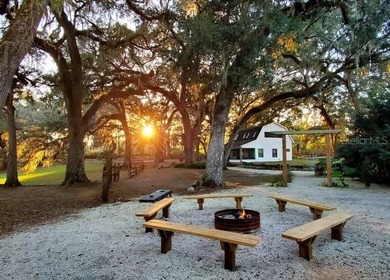 (private lake, pond, coastal) Home For Sale in Ocala Florida