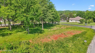 Lake Lot For Sale in Vonore, Tennessee