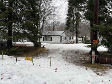 Grass Lake - Gladwin County Home For Sale in Gladwin Michigan