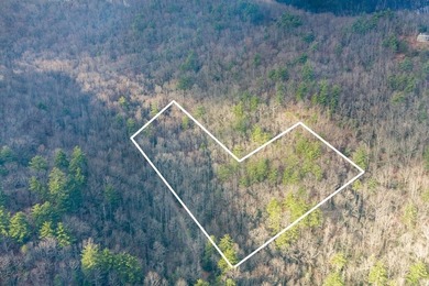 (private lake, pond, creek) Acreage For Sale in Cashiers North Carolina