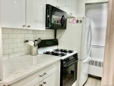 Brand New! Beech Hills! 1 Bedroom/1 Bath UPPER Unit located in - photo 7