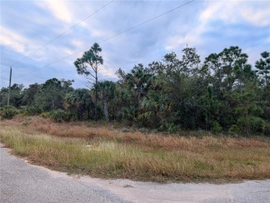 Northport Waterway Lakes and Canals Lot For Sale in North Port Florida