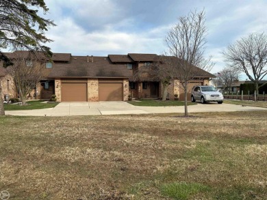 Lake Saint Clair Townhome/Townhouse For Sale in Clay Michigan