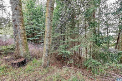 Build your dream home on this Sunland lot tucked at the end of a - photo 4