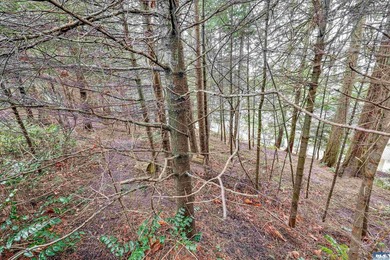 Build your dream home on this Sunland lot tucked at the end of a - photo 5