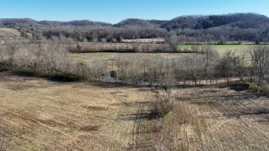 (private lake, pond, creek) Acreage Sale Pending in Middleburg Kentucky
