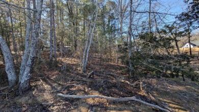 Lake Lot For Sale in Newberry, South Carolina