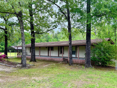 Lake Home SOLD! in Pineland, Texas