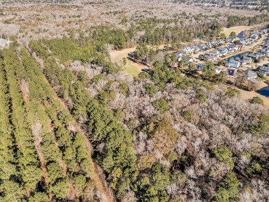 Rare Opportunity in Legend Oaks Plantation - 15.81 Acres in - photo 5