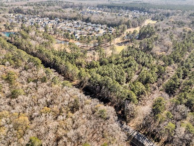 Rare Opportunity in Legend Oaks Plantation - 15.81 Acres in - photo 6