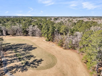Rare Opportunity in Legend Oaks Plantation - 15.81 Acres in - photo 9