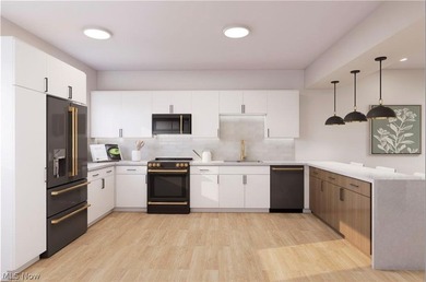 New Luxury Townhomes in Lakewood -- A Rare Opportunity For the - photo 5