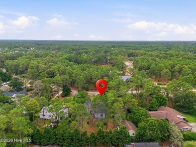 Welcome to 496 Tate Lake Drive in the amenity-rich Boiling - photo 22