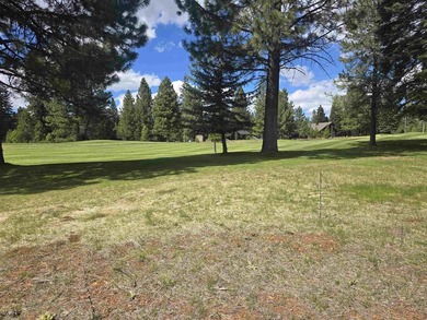 This beautiful level lot is ideally situated along the 2nd - photo 3