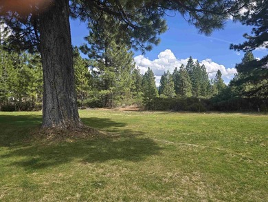 This beautiful level lot is ideally situated along the 2nd - photo 4