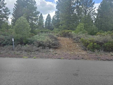 This beautiful level lot is ideally situated along the 2nd - photo 5