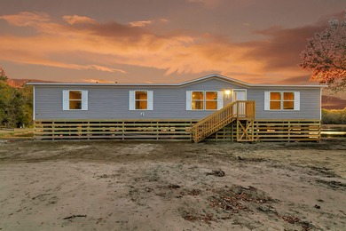 (private lake, pond, coastal) Home For Sale in Dorchester South Carolina