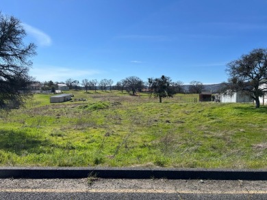 Lake Lot For Sale in Copperopolis, California