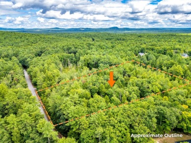 Trickey Pond Acreage For Sale in Naples Maine