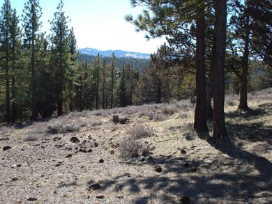 This lovely view property is approx. 2.95 acres in the private - photo 3