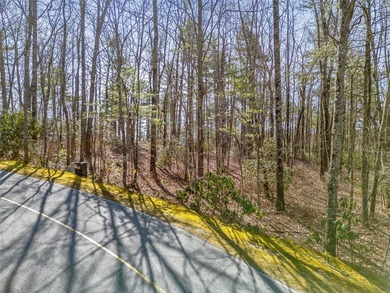 This exceptional corner lot in Lake Toxaway, NC, presents an - photo 4