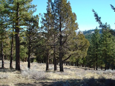 This lovely view property is approx. 2.95 acres in the private - photo 4