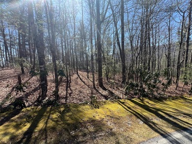 This exceptional corner lot in Lake Toxaway, NC, presents an - photo 5