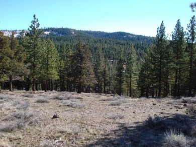 This lovely view property is approx. 2.95 acres in the private - photo 5