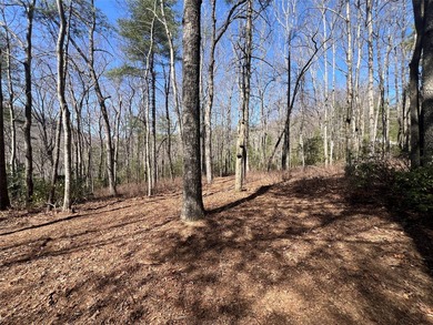 This exceptional corner lot in Lake Toxaway, NC, presents an - photo 6