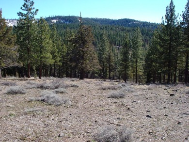 This lovely view property is approx. 2.95 acres in the private - photo 7