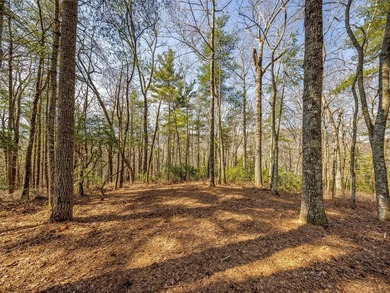 This exceptional corner lot in Lake Toxaway, NC, presents an - photo 8