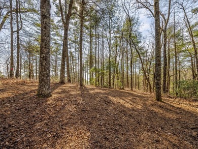 This exceptional corner lot in Lake Toxaway, NC, presents an - photo 9