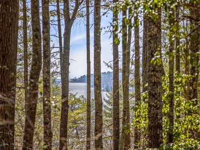 This exceptional corner lot in Lake Toxaway, NC, presents an - photo 10