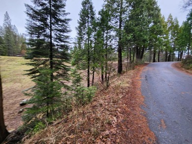 Lakemont Pines Lake Lot For Sale in Arnold California