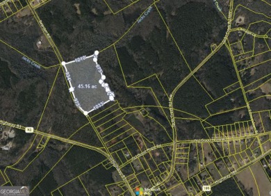 Lake Acreage For Sale in Good Hope, Georgia